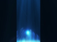 Хранилищная упаковка ((1)